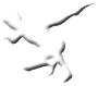 Tsugawa.TV Logo